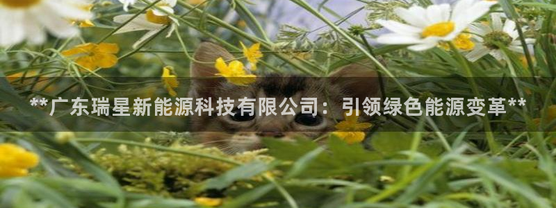 sunbet申搏平台
