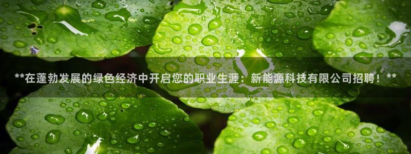 sunbet源码