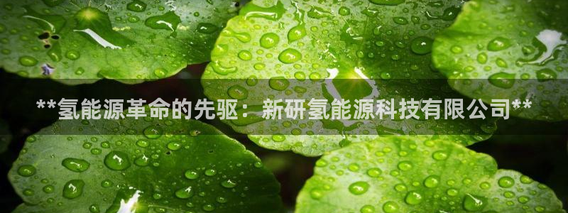 sunbet安卓下载