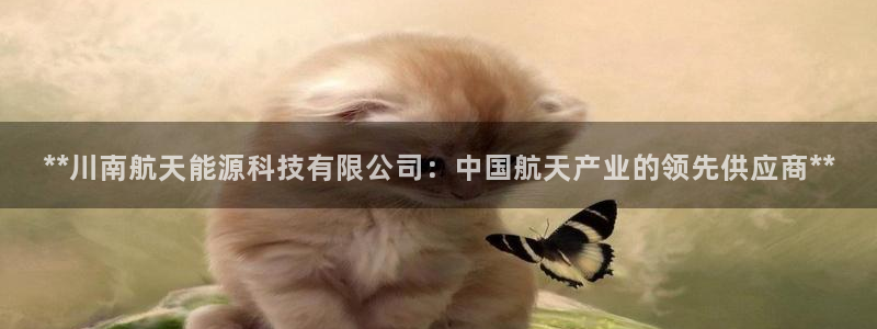 sunbet官网手机版