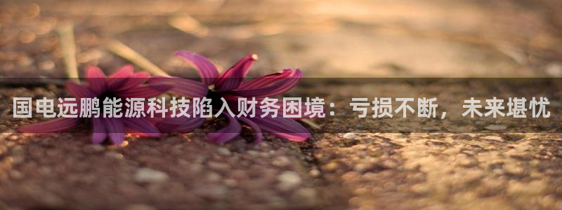 sunbet申搏地址