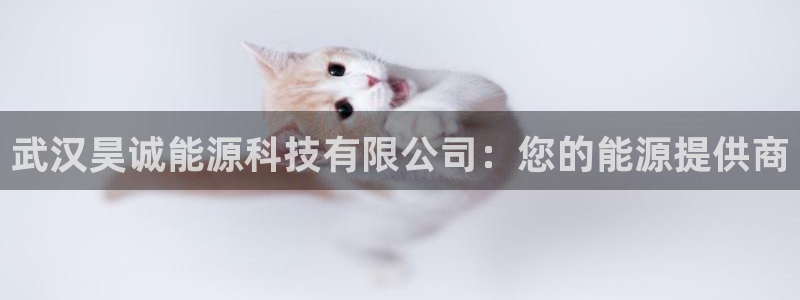 申博官方网站手机版下载