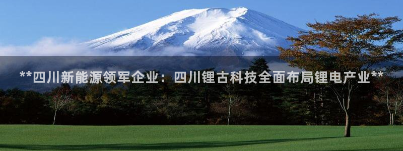 申博官网手机版下载app