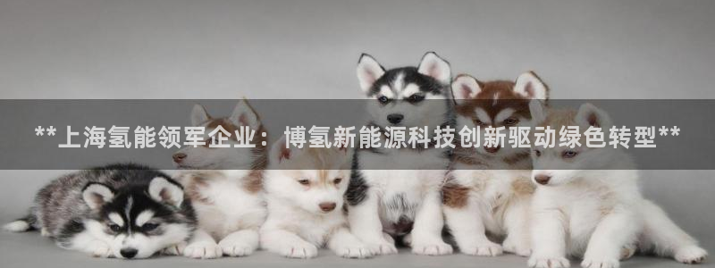 sunbet官网开户登录手机版