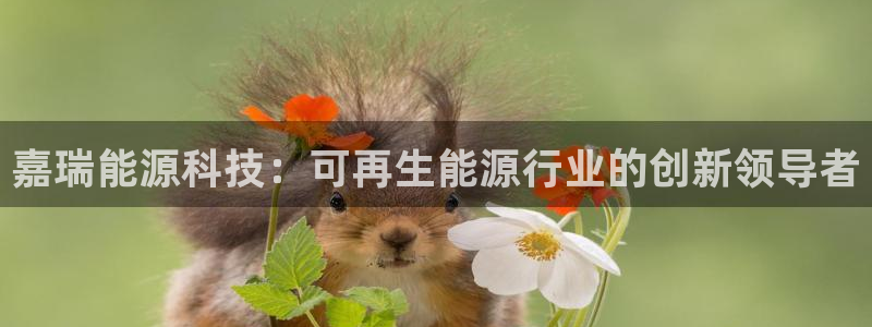 申博手机版app下载