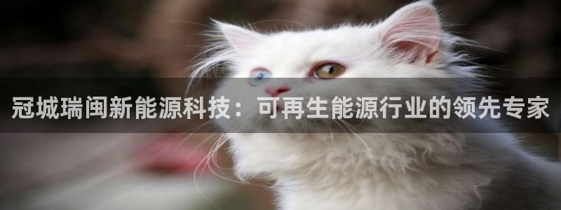 sunbet官网app首页