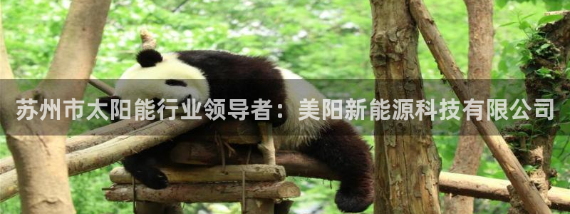 申博手机网站