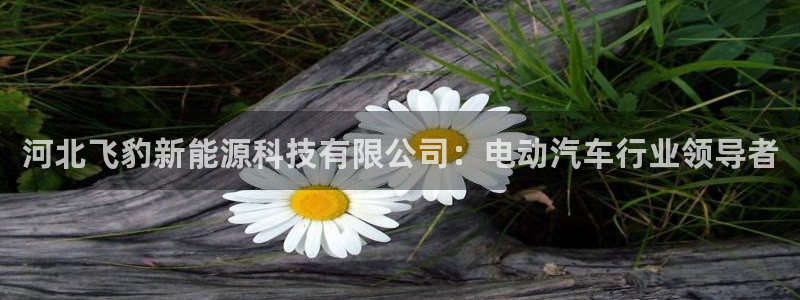 申博手机网址