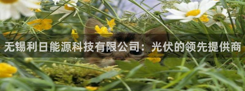 申博官网手机版下载app