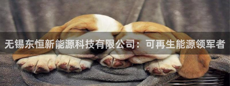 下载申搏sunbet并安装app