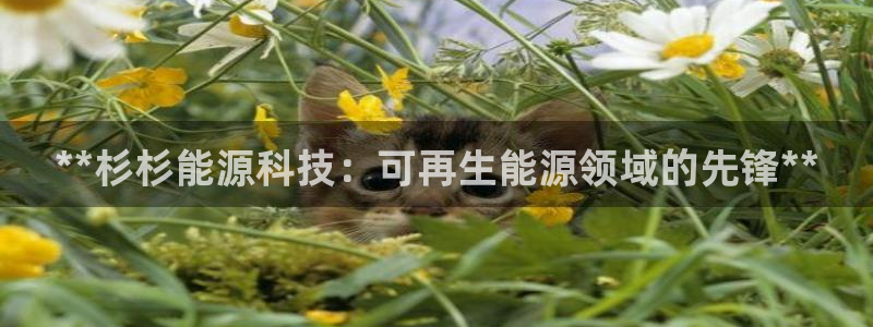 sunbet手机版登录