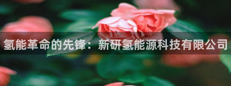 申慱sunbet网站