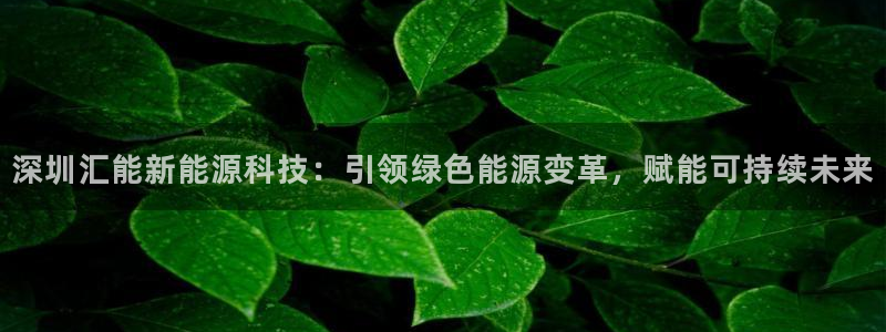 sunbet游戏网