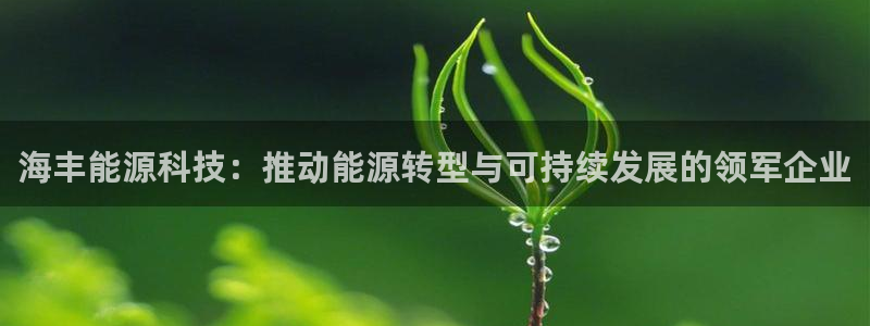 sunbet英语翻译
