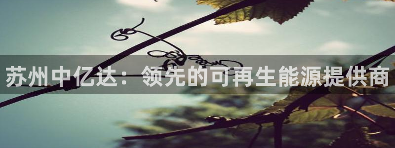 sunbet最新消息