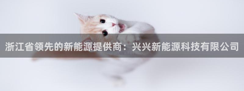 sunbet手机版官网下载