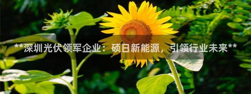 申博app下载