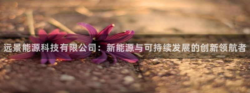 sunbet官网app首页