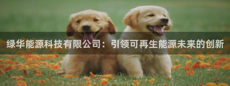 sunbet源码