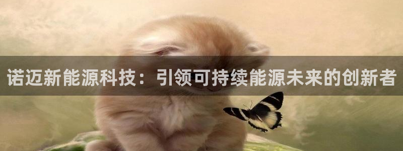 sunbet游戏最新版
