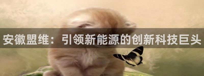 sunbet最新消息