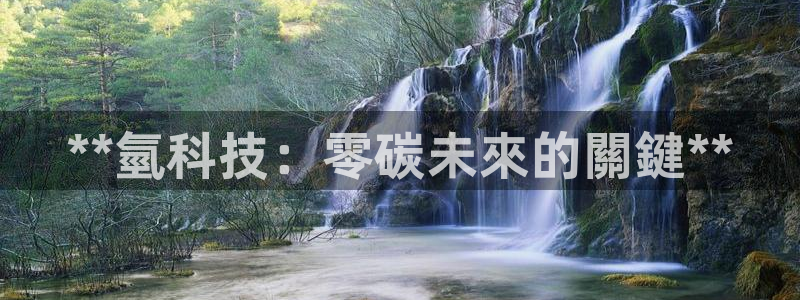 sunbet手机版官网下载