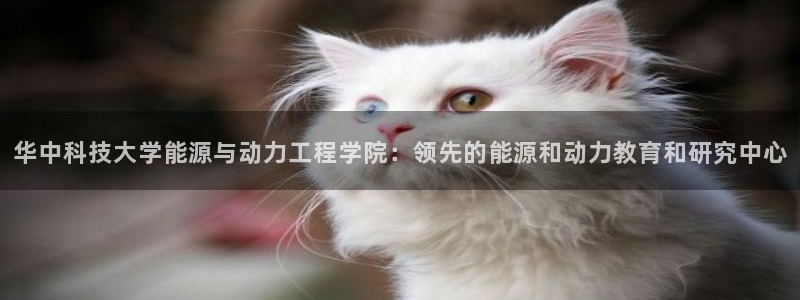 sunbet手机版官网下载