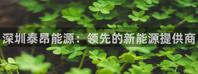 sunbet最新登陆
