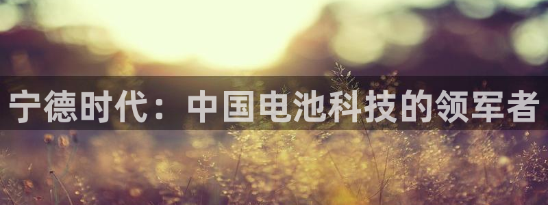 sunbet手机版官网下载