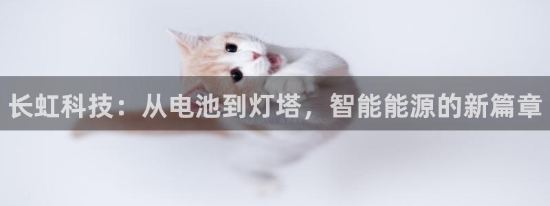 sunbet手机网页版本