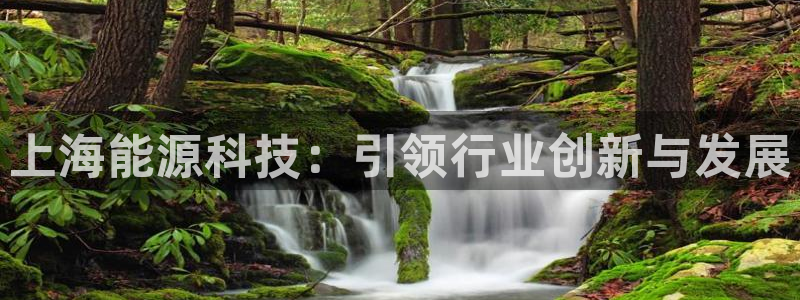 申博官网手机客户端