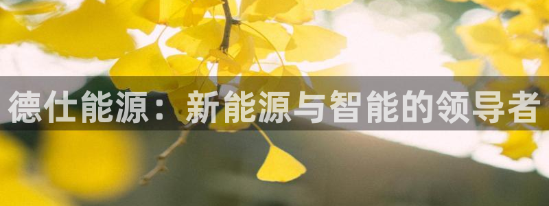 sunbet官网手机版登录