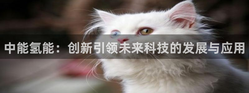 sunbet官网代理下载