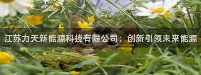 sunbet手机版官网下载