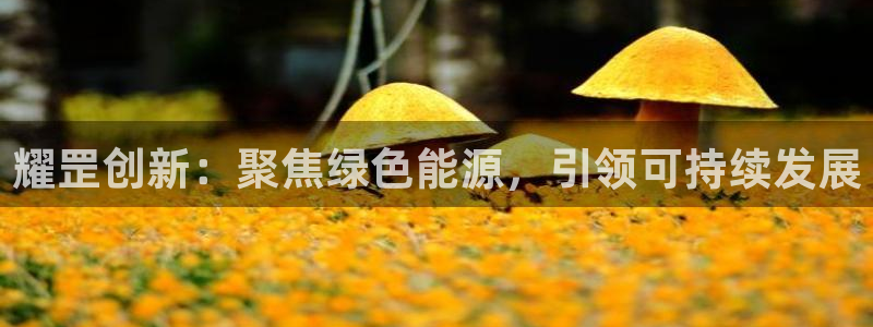 sunbet手机网页版本