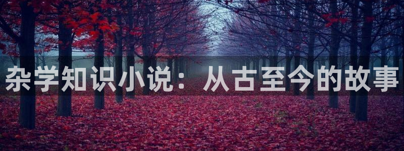 长生雷祖txt奇书网：杂学知识小说：从古至今的故事