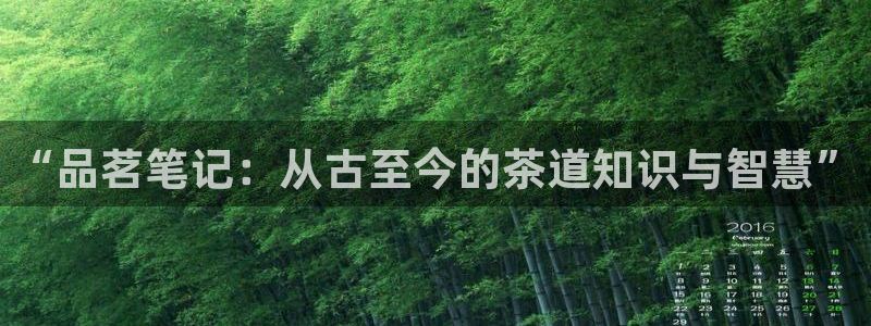 明朝败家子奇书网：“品茗笔记：从古至今的茶道知识与智慧”