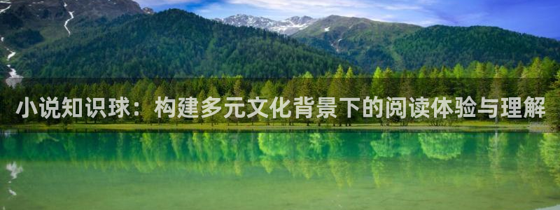 丹道宗师txt奇书网：小说知识球：构建多元文化背景下的阅读体验与理解