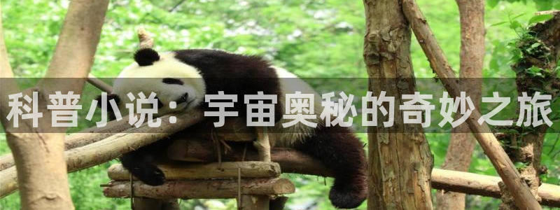 烟雨楼txt下载奇书网：科普小说：宇宙奥秘的奇妙之旅