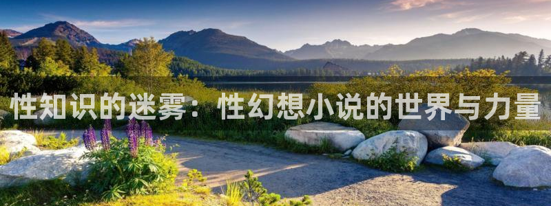 黄龙真人异界游txt奇书网：性知识的迷雾：性幻想小说的世界与力量
